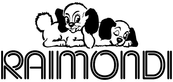 Raimondi Logo